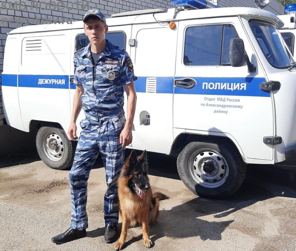 Служебная собака помогла в поиске пропавшего ребенка на Ставрополье