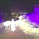 В Красноярском крае коровы помогли задержать пьяного байкера, удирающего от ГИБДД