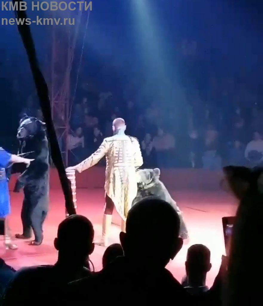 Медведь напал на беременную дрессировщицу по время представления в цирке в Орле