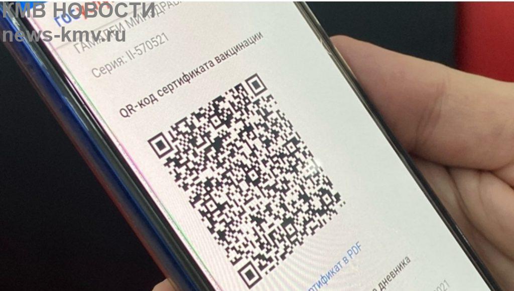 В Петербурге вводят QR-коды