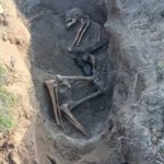 Останки советских бойцов были найдены в ходе раскопок на Ставрополье